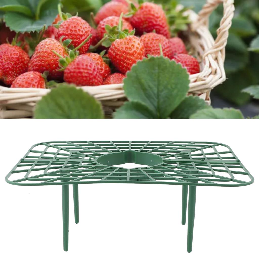 Strawberry Growing Rack Detachable PP Waterproof Reusable Strawberry Plant Support for Soil Planting