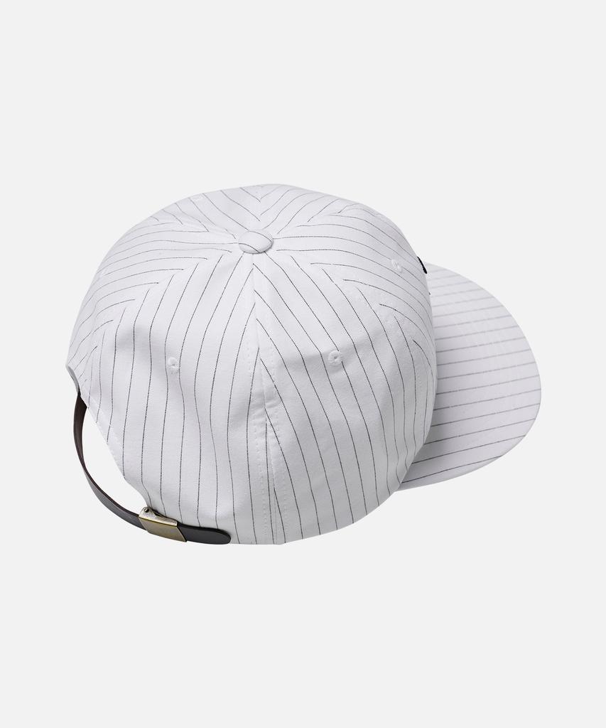 FRIZMWORKS Nature Logo Ball Cap _ Ivory Stripe