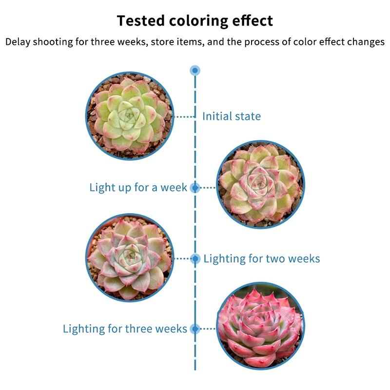 USB LED Plant Lamp Full Spectrum 3 Timer Setting 24W for Home Office Indoor Garden Desk Flowering Plants