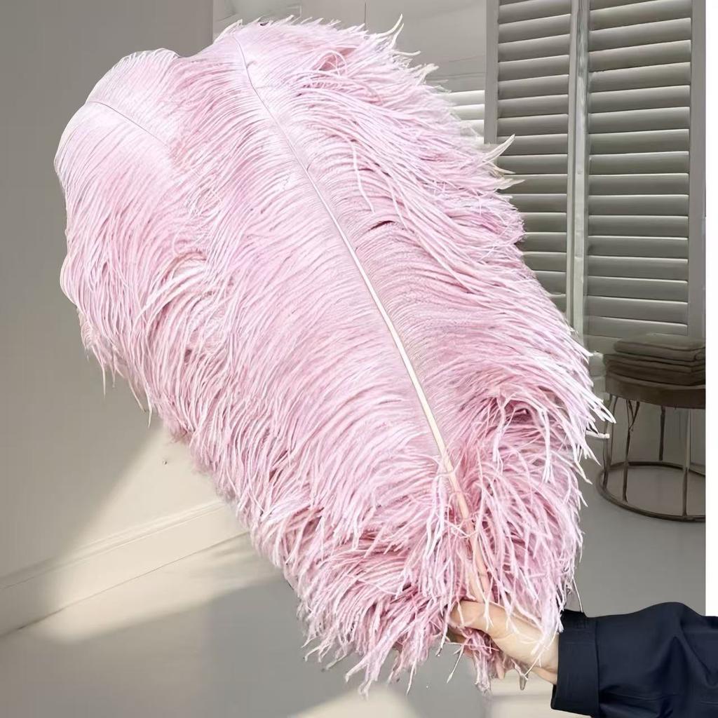 1pcs Ostrich Hair 65-70Cm Photo Feather Wall Wedding Road Guide Decorative Props Colored Feathers