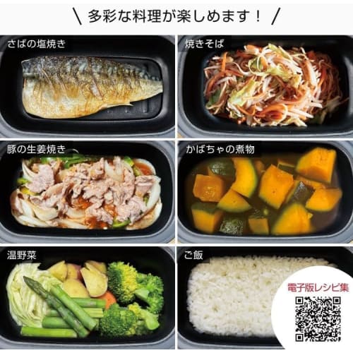 Hiro Corporation Microwave Cooker, Grilled Fish, Grilling, Frying, Boiling, Steaming, Cooking, Reheating, Dishwasher Safe, Includes Recipe Book, Range