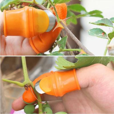 6Pcs Farm Vegetable Fruit Picker Pickle Pepper Pickle Tip Picker Iron Nail Pick Grape Picker for Garden Orchard and Vegetable Patch