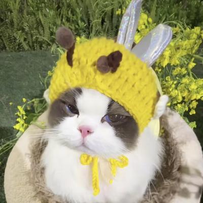 Pet Headgear Knitted Hat Cosplay Props Headdress