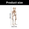 Bewegliche Magnetische Skelettfigur Für Kühlschrank Auto Büro Flexible Gelenke Detailliert Halloween Party Dekoration Zubehör