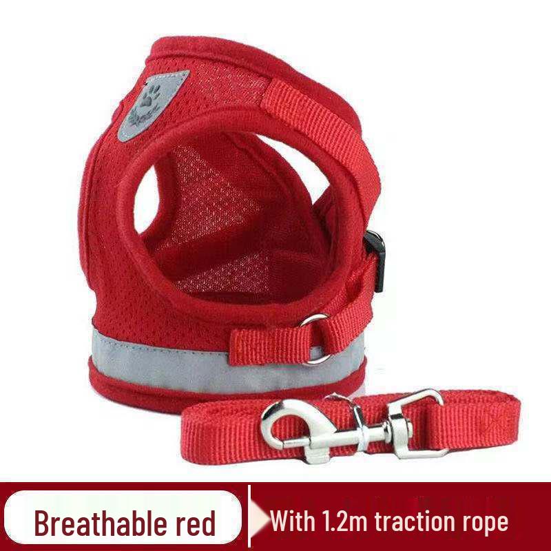 Escape-Proof Outdoor Cat Leash and Harness