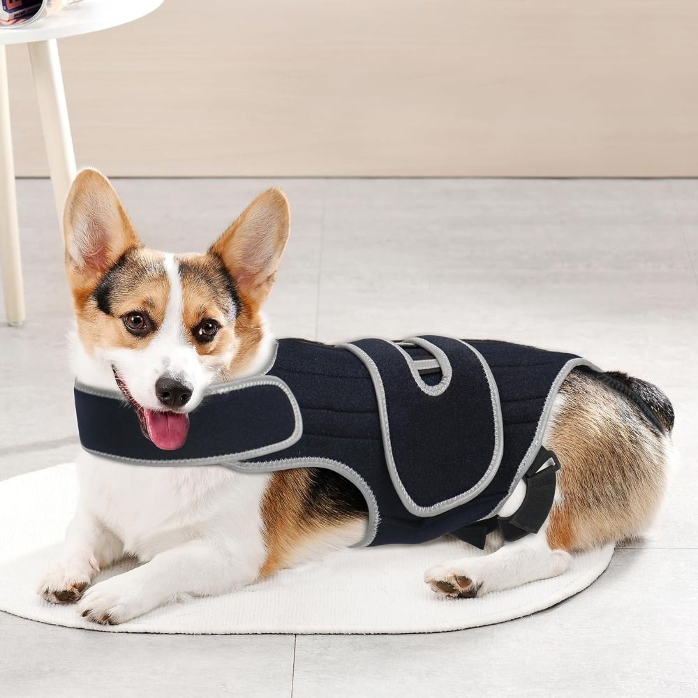 Breathable Pet Spinal Brace Vest Comfortable Dog Support Harness Dog Back Brace Home Use