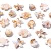 50pcs/lot Ocean Animal Acrylic Beads Turtle Starfish Conch Beads Beige Loose Beads For Jewelry Making DIY Bracelet Accessories