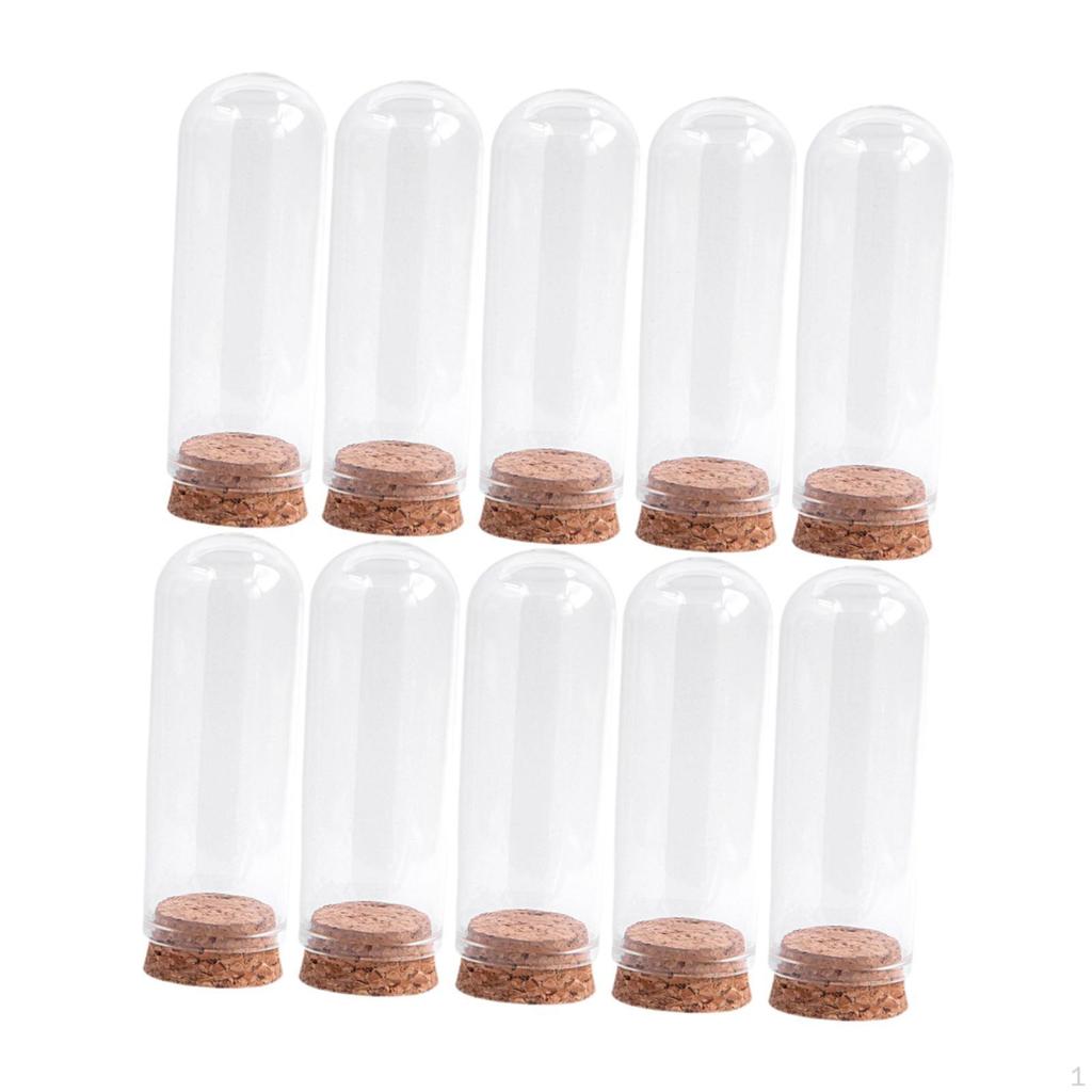 10er-Pack Glas-Display-Glocken für die Präsentation von Sammlerstücken