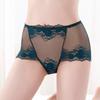 Plus Size Lady Summer Sexy Lace Hollow Out Perspective High Waist Triangle Briefs