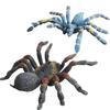 Spider Model Set With Plastic Material For Home Decor And Gift For Nature Lovers
