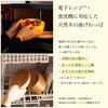 Dento Honpo Wooden Bentwood Bento Microwave and Dishwasher Large Includes Lunch and Silicone Leaf Finished In Japan with Yamanaka Perfect for Sports