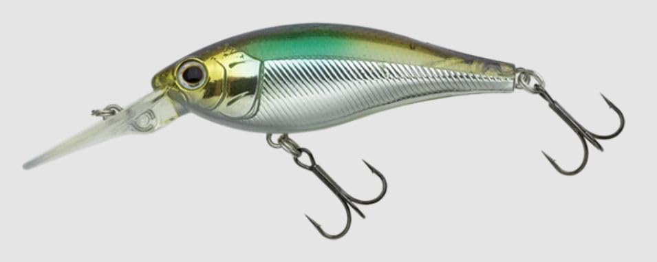 

Nories Bass Lure Jetty Shad 62SP 437 Wakasagia Tension