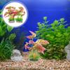 2 Pcs Aquarium Plants Large Fish Tank Decorations Vibrant Colored Easy Clean Artificial Stable Base L Scape Tools Terrarium