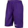 Dri Fit SS25 Shorts Kids' Garden Purple IB8681-547