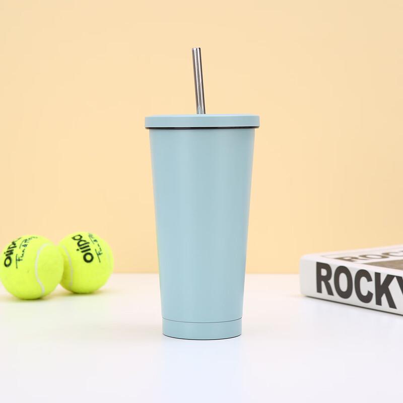 Portable Insulated Straw Mug