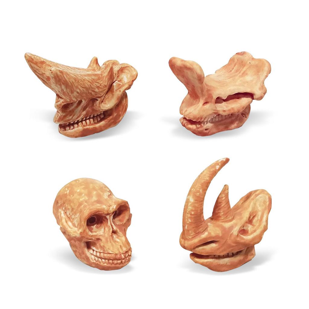 Educational And Interactive Dinosaur Fossil Toys Triceratops And Brachiosaurus Models