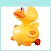 Toy Mechanical Swinging Duck For Toddlers Learning And Development In Plastic Material