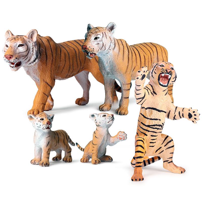 Siberian, Male, African, and White Tiger Cognitive Toy Set for Kids.