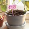 10/12PCS Waterproof Garden Marker Thickened Markers Label Plastic Writing Plate  Garden Nursery