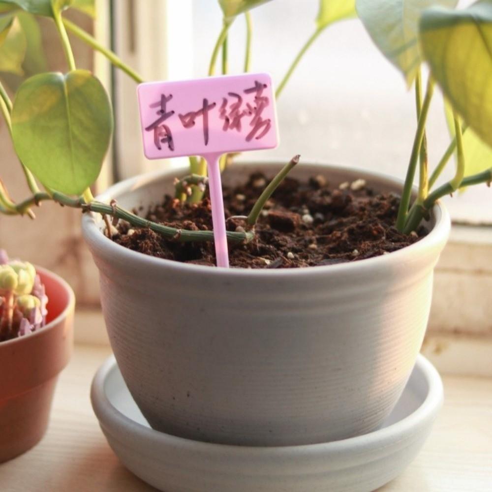 10/12PCS Waterproof Garden Marker Thickened Markers Label Plastic Writing Plate  Garden Nursery