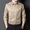 2024 Trend: Men's Slim Fit Mulberry Silk Formal Shirt - Iron-Free Professional Workwear