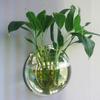 Väggmonterad Akryl Akvarium och Blomkruka Vas