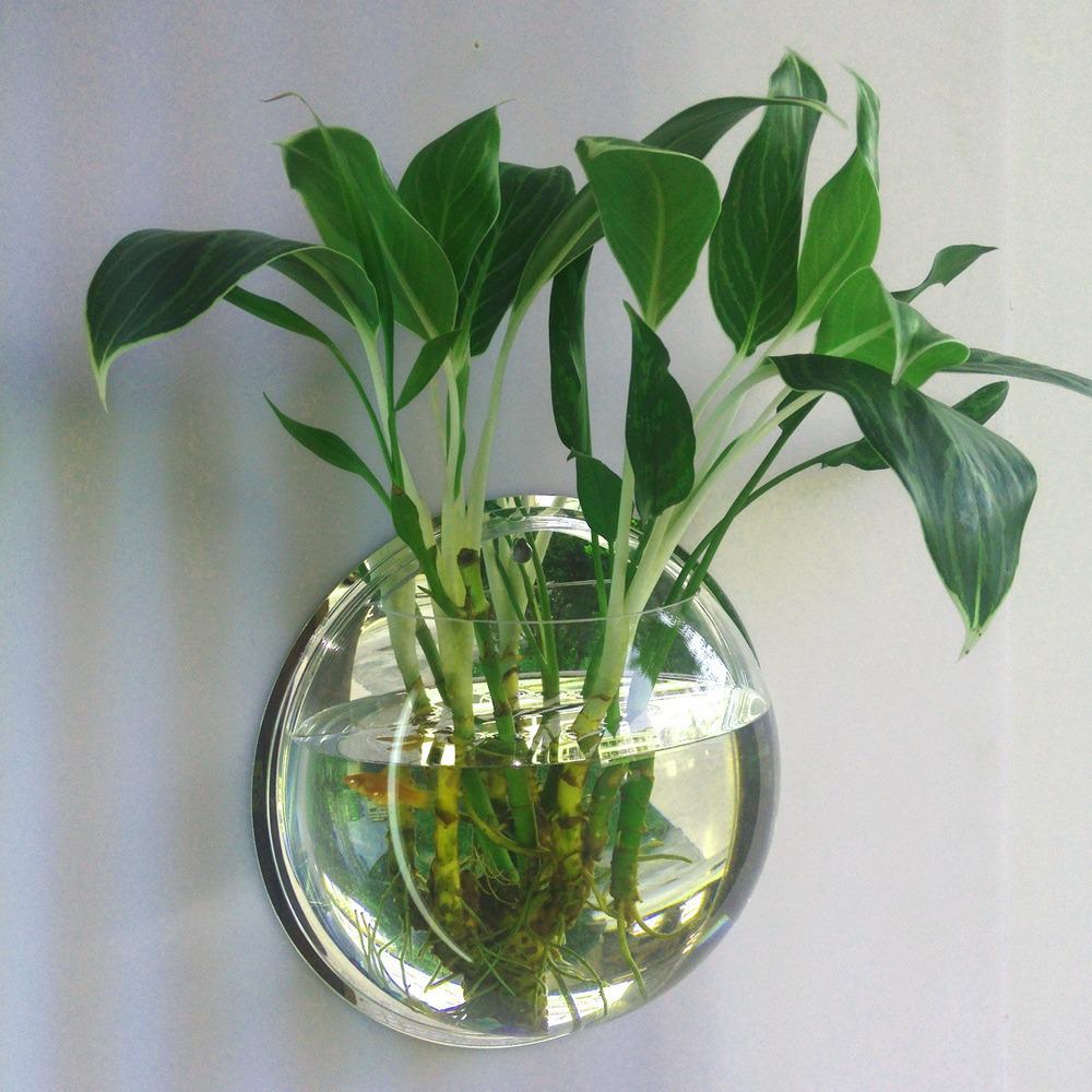 

Настенный аквариум из акрила и ваза-цветочница Diameter 15cm Clear