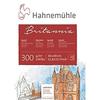 Bloc Papier Créatif - HAHNEMÜHLE - Britannia - 300gsm - 30x40cm - Pressé À Chaud - Blanc