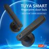 Smart Fingerprint Door Lock Keyless Entry Biometric Door Lock with Handle Set Support Key Unlock Intelligent Tuya App