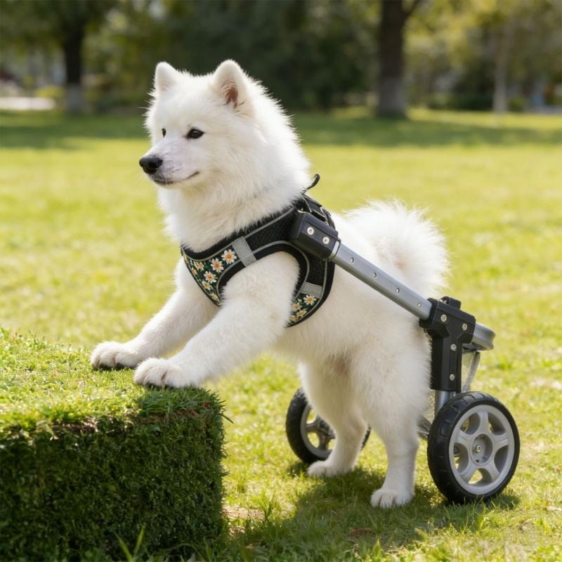 Walking Dog Cart For Disabled Pet Adjustable Dog Two Wheel Wheelchair Lightweight Mobility Aid Pet Support