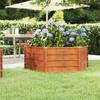 Rusty Raised Garden Bed 129x129x45 Cm Corten Steel