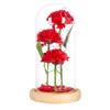 Three Carnations Glass Cover Ornament Mother's Day Gift Simulated Flower LED Luminous Small Gift Merchandise