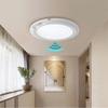 Human Body Light, Hallway Light, Entrance Hallway Light, Cloakroom Light, Balcony Ceiling Light