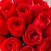 10Pcs Red Roses Bouquet Vase for Home Decor Garden Wedding Decorative Wreaths Diy Handwork Flower Arrangement Artificial Flowers