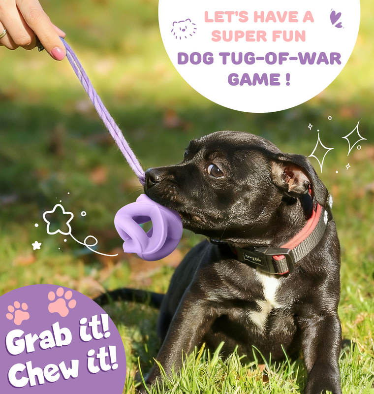 Durable Natural Rubber Indestructible Puzzle Dog Chew Toy Bite Resistant Outdoor Molar Play Toy Perfect for Aggressive Chewers