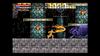 SW Version Castlevania Advance Collection Regular Version