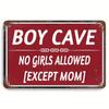 pc Vintage Metal Sign I Am Not Perfect I Say Stupid Things Sometimes I Laugh When Im Not Supposed To Wall Art Decor For