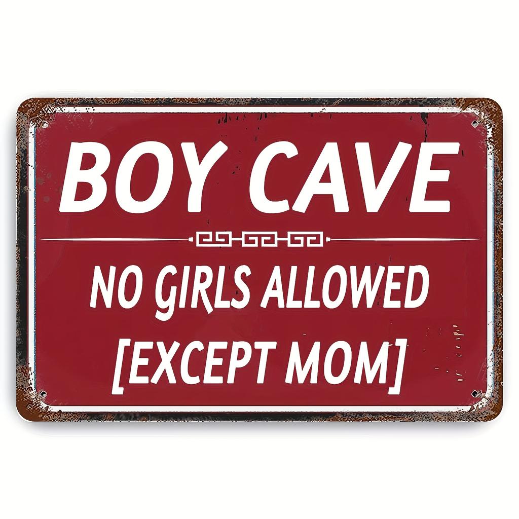 pc Vintage Metal Sign I Am Not Perfect I Say Stupid Things Sometimes I Laugh When Im Not Supposed To Wall Art Decor For