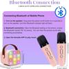 Karaoke Machine - Portable - 2 Wireless Microphones - Bluetooth - Enhanced Sound Effects