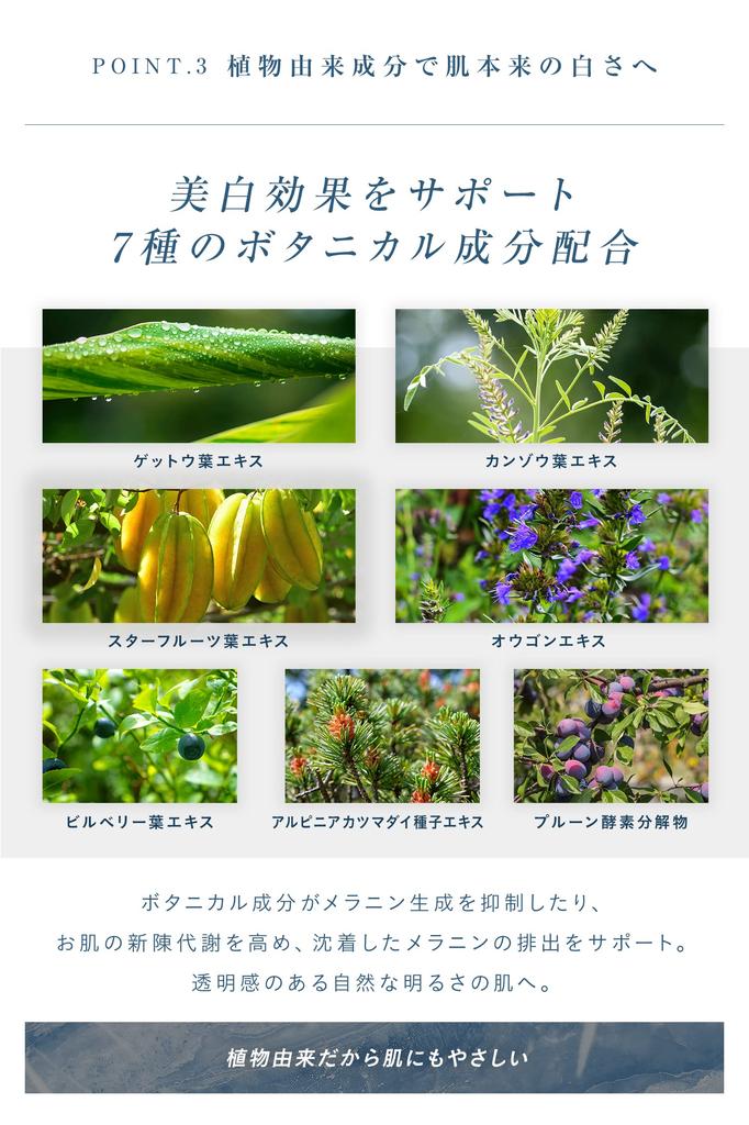 Bodyplex White Gel Rose Geranium Scent 100g [Quasi-drug] &