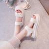 Sandals women's outer wear 2025 summer new thick-soled muffin shoes with skirts thick-soled Roman cool slippers