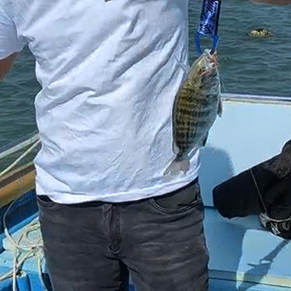 Multifunctional Lengthened Fish Control Device Aluminum Alloy Fish Lip Gripper