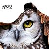 Аксессуары для DIY Украшения Комнаты 3D Наклейка на Стену с Дырой Животное Реалистичная Мышь Енот Тигр Лиса на Снимаемых Наклейках Наклейки Забавные Снимай И