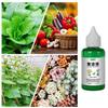 50ml Plant Revitalizer Resurrection Liquid Fertilizing Liquid Concentrate Fertilizing Liquid Concentrate Plant Promotes Growth