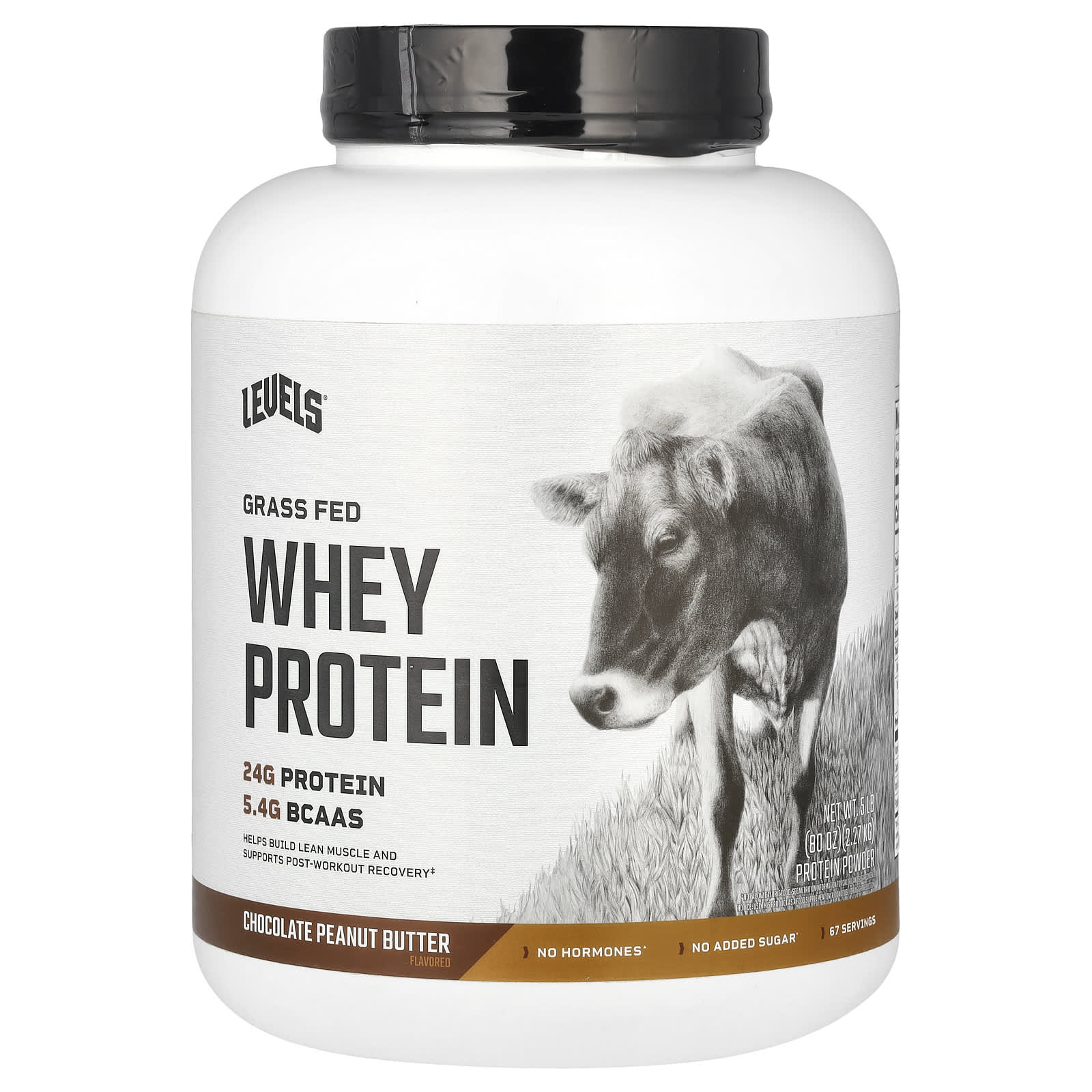 

Grass-Fed Whey Protein Powder, Chocolate Peanut Butter, 2.27Kg (5Lb)
