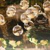 Transparent Hanging Glass Vases Ball Succulents Plant Ball Container Glass Planter  Garden