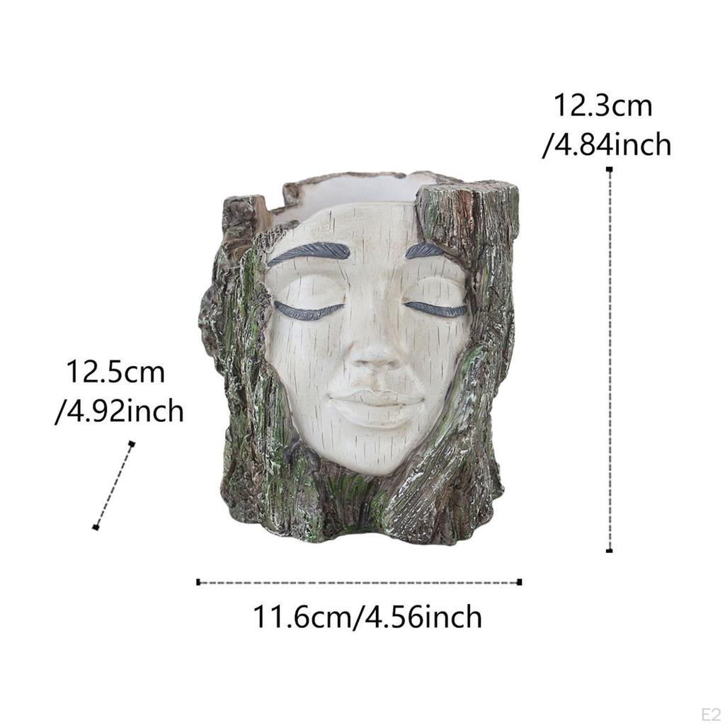 Pot Resin Decorative Home Decor Ornament Gift Creative Plant Container Flower for Living Room