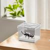 Jumping Spider Terrarium Feeding Bin Ventilated Enclosure For Science Projects Apartment Educational Displays Home Camping