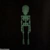 Movable Skull Refrigerator Magnet 3D Printed Joints Movable Halloween Toy Horror Luminous Skull Ornaments Refrigerator Magnet