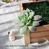 Realistic Flocked Succulents: Small Artificial Green Plant Wall Decor for Interiors
